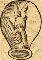 An illustration from Ein newer Albertus Magnus. Von Weybern vnd Geburten der Kinder, sampt jhren Artzneyen. Auch von Tugenden etlicher fürnemer Kreüter, vnd von Krafft der Edlen Gestein. Von art vnd Natur etlicher Thier. Mit sampt einem bewerten Regiment für die Pestilentz. Alles auffs new gebessert, durch Q. Apollinarem (1602)