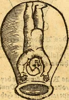 An illustration from Ein newer Albertus Magnus. Von Weybern vnd Geburten der Kinder, sampt jhren Artzneyen. Auch von Tugenden etlicher fürnemer Kreüter, vnd von Krafft der Edlen Gestein. Von art vnd Natur etlicher Thier. Mit sampt einem bewerten Regiment für die Pestilentz. Alles auffs new gebessert, durch Q. Apollinarem (1602)