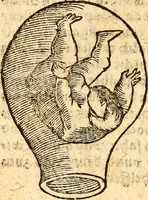 An illustration from Ein newer Albertus Magnus. Von Weybern vnd Geburten der Kinder, sampt jhren Artzneyen. Auch von Tugenden etlicher fürnemer Kreüter, vnd von Krafft der Edlen Gestein. Von art vnd Natur etlicher Thier. Mit sampt einem bewerten Regiment für die Pestilentz. Alles auffs new gebessert, durch Q. Apollinarem (1602)