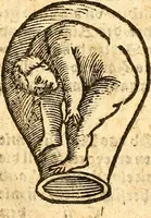 An illustration from Ein newer Albertus Magnus. Von Weybern vnd Geburten der Kinder, sampt jhren Artzneyen. Auch von Tugenden etlicher fürnemer Kreüter, vnd von Krafft der Edlen Gestein. Von art vnd Natur etlicher Thier. Mit sampt einem bewerten Regiment für die Pestilentz. Alles auffs new gebessert, durch Q. Apollinarem (1602)