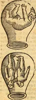 An illustration from Ein newer Albertus Magnus. Von Weybern vnd Geburten der Kinder, sampt jhren Artzneyen. Auch von Tugenden etlicher fürnemer Kreüter, vnd von Krafft der Edlen Gestein. Von art vnd Natur etlicher Thier. Mit sampt einem bewerten Regiment für die Pestilentz. Alles auffs new gebessert, durch Q. Apollinarem (1602)