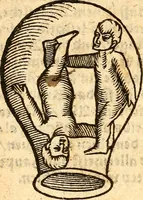 An illustration from Ein newer Albertus Magnus. Von Weybern vnd Geburten der Kinder, sampt jhren Artzneyen. Auch von Tugenden etlicher fürnemer Kreüter, vnd von Krafft der Edlen Gestein. Von art vnd Natur etlicher Thier. Mit sampt einem bewerten Regiment für die Pestilentz. Alles auffs new gebessert, durch Q. Apollinarem (1602)