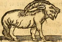 An illustration from Ein newer Albertus Magnus. Von Weybern vnd Geburten der Kinder, sampt jhren Artzneyen. Auch von Tugenden etlicher fürnemer Kreüter, vnd von Krafft der Edlen Gestein. Von art vnd Natur etlicher Thier. Mit sampt einem bewerten Regiment für die Pestilentz. Alles auffs new gebessert, durch Q. Apollinarem (1602)