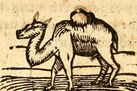 An illustration from Ein newer Albertus Magnus. Von Weybern vnd Geburten der Kinder, sampt jhren Artzneyen. Auch von Tugenden etlicher fürnemer Kreüter, vnd von Krafft der Edlen Gestein. Von art vnd Natur etlicher Thier. Mit sampt einem bewerten Regiment für die Pestilentz. Alles auffs new gebessert, durch Q. Apollinarem (1602)