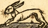 An illustration from Ein newer Albertus Magnus. Von Weybern vnd Geburten der Kinder, sampt jhren Artzneyen. Auch von Tugenden etlicher fürnemer Kreüter, vnd von Krafft der Edlen Gestein. Von art vnd Natur etlicher Thier. Mit sampt einem bewerten Regiment für die Pestilentz. Alles auffs new gebessert, durch Q. Apollinarem (1602)