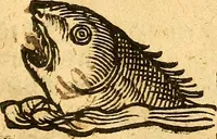 An illustration from Ein newer Albertus Magnus. Von Weybern vnd Geburten der Kinder, sampt jhren Artzneyen. Auch von Tugenden etlicher fürnemer Kreüter, vnd von Krafft der Edlen Gestein. Von art vnd Natur etlicher Thier. Mit sampt einem bewerten Regiment für die Pestilentz. Alles auffs new gebessert, durch Q. Apollinarem (1602)