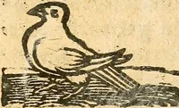 An illustration from Ein newer Albertus Magnus. Von Weybern vnd Geburten der Kinder, sampt jhren Artzneyen. Auch von Tugenden etlicher fürnemer Kreüter, vnd von Krafft der Edlen Gestein. Von art vnd Natur etlicher Thier. Mit sampt einem bewerten Regiment für die Pestilentz. Alles auffs new gebessert, durch Q. Apollinarem (1602)