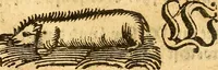 An illustration from Ein newer Albertus Magnus. Von Weybern vnd Geburten der Kinder, sampt jhren Artzneyen. Auch von Tugenden etlicher fürnemer Kreüter, vnd von Krafft der Edlen Gestein. Von art vnd Natur etlicher Thier. Mit sampt einem bewerten Regiment für die Pestilentz. Alles auffs new gebessert, durch Q. Apollinarem (1602)