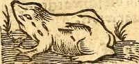 An illustration from Ein newer Albertus Magnus. Von Weybern vnd Geburten der Kinder, sampt jhren Artzneyen. Auch von Tugenden etlicher fürnemer Kreüter, vnd von Krafft der Edlen Gestein. Von art vnd Natur etlicher Thier. Mit sampt einem bewerten Regiment für die Pestilentz. Alles auffs new gebessert, durch Q. Apollinarem (1602)
