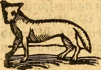 An illustration from Ein newer Albertus Magnus. Von Weybern vnd Geburten der Kinder, sampt jhren Artzneyen. Auch von Tugenden etlicher fürnemer Kreüter, vnd von Krafft der Edlen Gestein. Von art vnd Natur etlicher Thier. Mit sampt einem bewerten Regiment für die Pestilentz. Alles auffs new gebessert, durch Q. Apollinarem (1602)