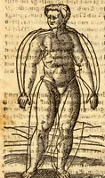 An illustration from Ein newer Albertus Magnus. Von Weybern vnd Geburten der Kinder, sampt jhren Artzneyen. Auch von Tugenden etlicher fürnemer Kreüter, vnd von Krafft der Edlen Gestein. Von art vnd Natur etlicher Thier. Mit sampt einem bewerten Regiment für die Pestilentz. Alles auffs new gebessert, durch Q. Apollinarem (1602)