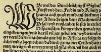 An illustration from Ein schöne newe Zeytung so Kayserlich Mayestet ausz India yetz nemlich zukommen seind. : Gar hüpsch vo[n] den newen Ynseln, vnd von yrem sytten gar kurtzweylig Züleesen (1522)