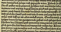 An illustration from Ein schöne newe Zeytung so Kayserlich Mayestet ausz India yetz nemlich zukommen seind. : Gar hüpsch vo[n] den newen Ynseln, vnd von yrem sytten gar kurtzweylig Züleesen (1522)