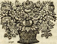 Picture 4 of 73 from Ein Schock Phantastn in einem Kasten : mit ihrem Pourtrait gar net in Kupffer gebracht und ausgelacht, samt einer Vorred (1700), leaf 15