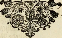 Picture 5 of 73 from Ein Schock Phantastn in einem Kasten : mit ihrem Pourtrait gar net in Kupffer gebracht und ausgelacht, samt einer Vorred (1700), leaf 17