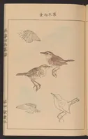 Picture 3 of 11 from Eishō hyakuchō gafu (1913), leaf 12