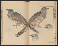 An illustration from Eishō hyakuchō gafu (1913)