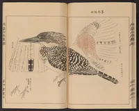 Picture 9 of 11 from Eishō hyakuchō gafu (1913), leaf 20