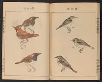 An illustration from Eishō hyakuchō gafu (1913)