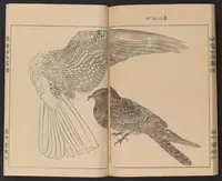 Picture 11 of 11 from Eishō hyakuchō gafu (1913), leaf 26
