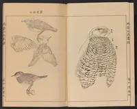 An illustration from Eishō hyakuchō gafu (1913)