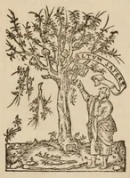 An illustration from Ek tōn Aristotelous kai Theophrastou = Aristotelis et Theophrasti scripta quaedam : quae uel nunquam antea uel minus emendata quam nunc edita fuerunt (1557)