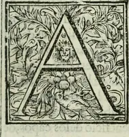An illustration from [El] aivstamiento i proporcion de las monedas de oro, plata i cobre i la redvccion destos metales a sv debida estimacion, son regalia singvlar del rei de España i de las Indias, nvestro señor, que la es del oro i plata del orbe (1629)