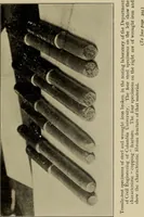 An illustration from The elasticity and resistance of the materials of engineering (1915)
