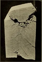 Picture 53 of 91 from The elasticity and resistance of the materials of engineering (1915), leaf 477
