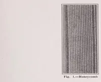 Picture 6 of 17 from Elastic and non-elastic narrow fabrics (1923), leaf 29
