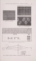 Picture 9 of 17 from Elastic and non-elastic narrow fabrics (1923), leaf 43