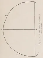 An illustration from El cráneo fósil de Arrecifes : (Provincia de Buenos Aires) : atribuído a la formación pampeana superior (1907)