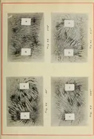 An illustration from Electrical ignition (1916)
