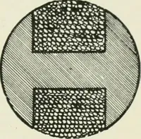 An illustration from Electrical installations of electric light, power, traction and industrial electrical machinery (1902)