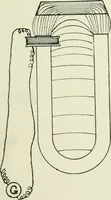 Picture 75 of 223 from Electrical installations of electric light, power, traction and industrial electrical machinery (1902), leaf 98