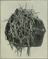 Picture 2 of 237 from Electrical machinery; a practical study course on installation, operation and maintenance (1921), leaf 28