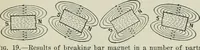 An illustration from Electrical machinery; a practical study course on installation, operation and maintenance (1921)