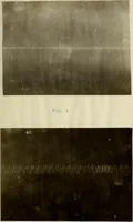 An illustration from An electrical method of studying sound waves (1920)