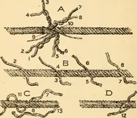 An illustration from Electrical tables and engineering data; a book of useful tables and practical hints for electricians, foremen, salesmen, solicitors, estimators, contractors, architects and engineers (1916)