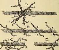 An illustration from Electrical tables and engineering data; (1920)