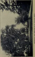 Picture 29 of 33 from The Electric City, Peterborough, Ontario, Canada : views of city and district, with information from official sources ... / compiled by J.A. McElhiney and E.R. Hensley. (1915), leaf 35