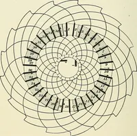 An illustration from [Electric engineering.] (1902)