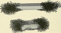 An illustration from [Electric engineering.] (1902)