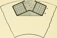 Picture 194 of 248 from [Electric engineering.] (1902), leaf 409