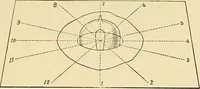 An illustration from [Electric engineering.] (1902)