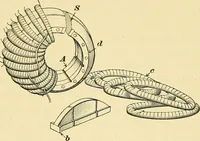 Picture 264 of 366 from [Electric engineering.] (1902), leaf 479