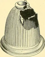 Picture 290 of 366 from [Electric engineering.] (1902), leaf 532