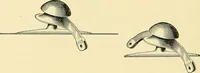 An illustration from [Electric engineering.] (1902)