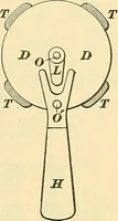 Picture 131 of 228 from [Electric engineering.] (1902), leaf 386