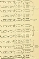 An illustration from [Electric engineering.] (1902)